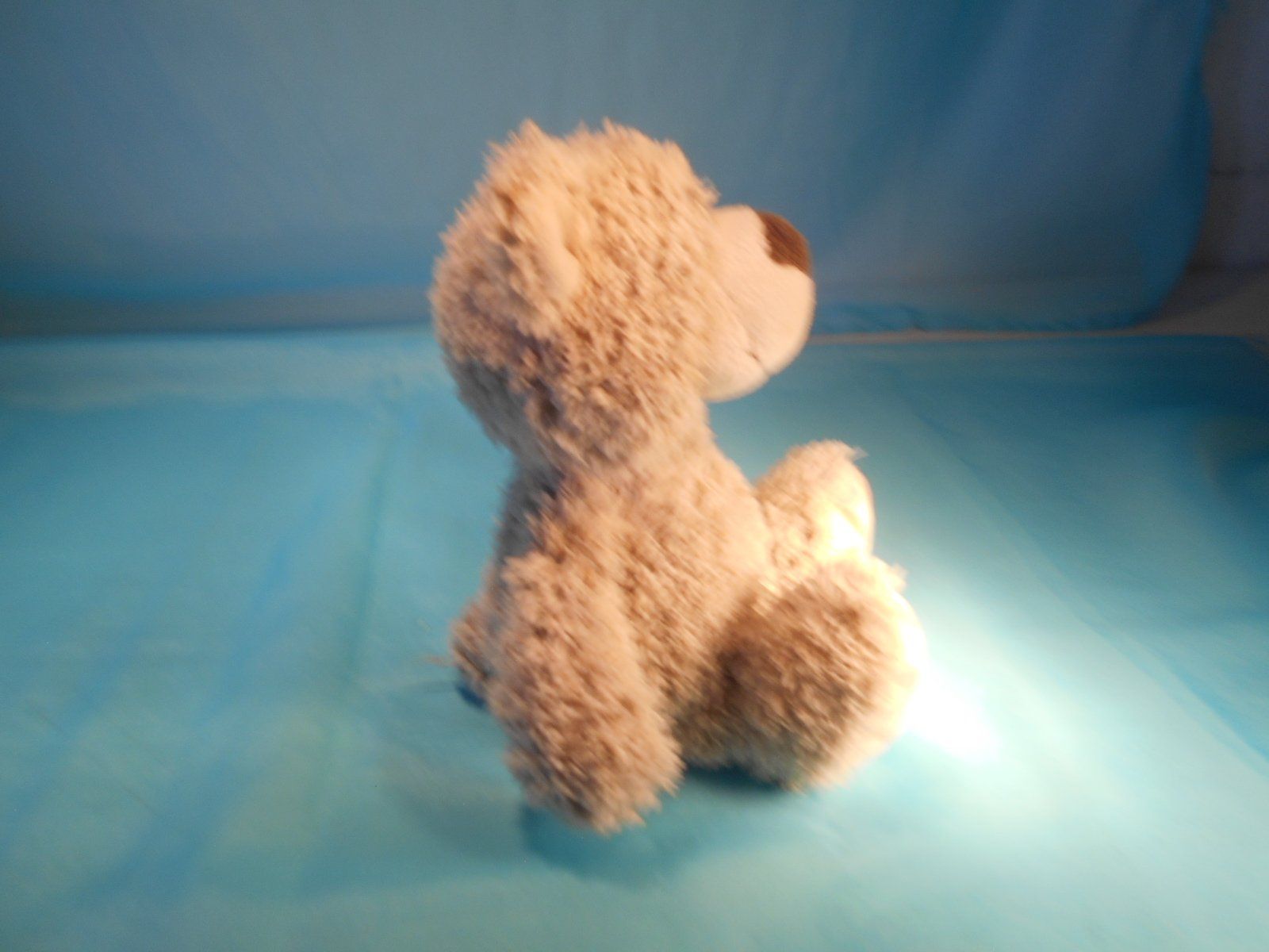 Nici Giocattoli: NICI Bär, grau, L: 22cm – Usato da Bellach venduto da JingleCherry 1