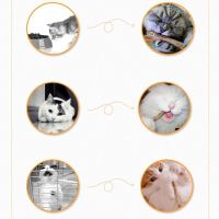 Zahnpastastick für Katzen Gesellschaft, bois pour chat