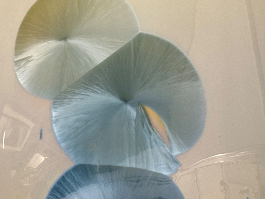 Vasi & Recipienti: Kristallglasur-Vase in Geschenkbox – Usato da Otelfingen venduto da Yossi-68 4