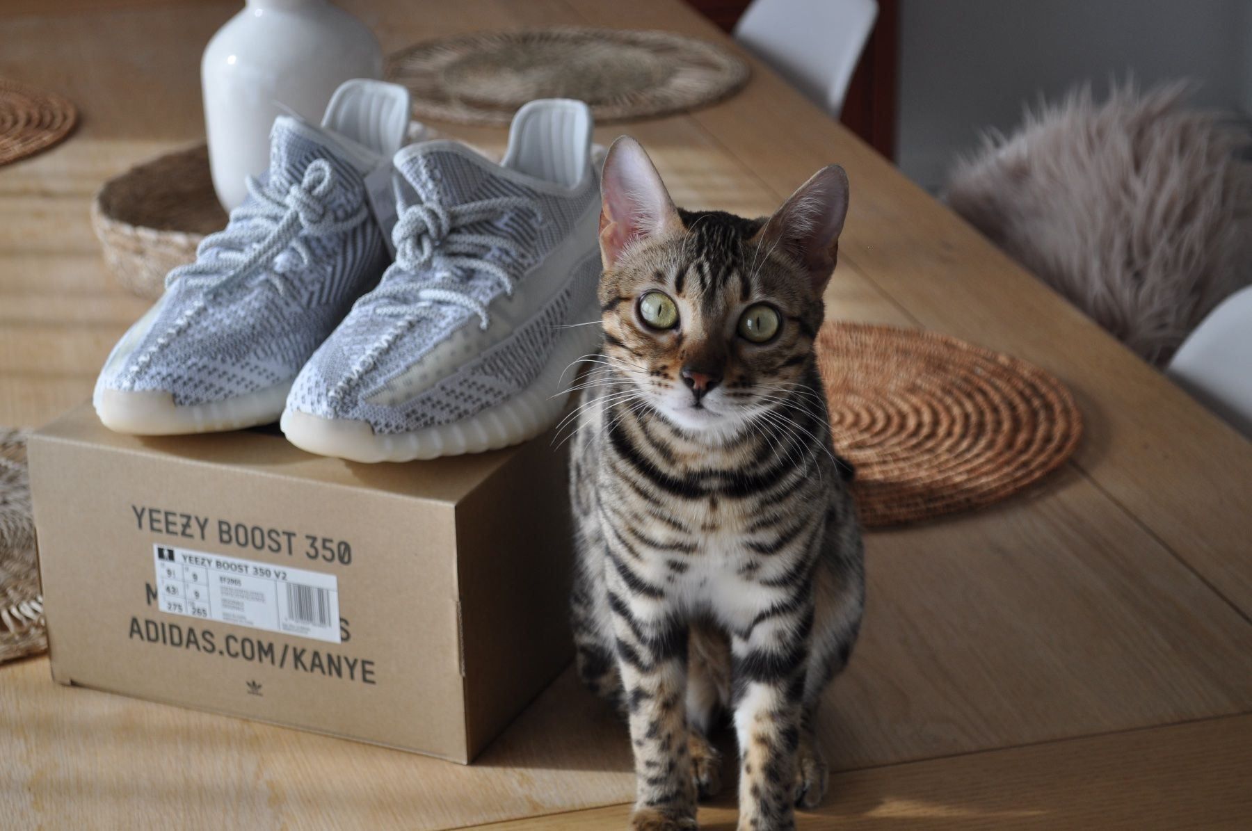 Adidas Herrenschuhe: Adidas Yeezy Static Neu US 9,5 Quittung – Neu und originalverpackt aus Biel/Bienne von Switzerland92 5