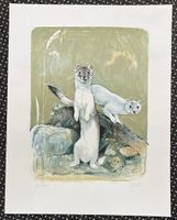 Lithografie Hermelin, handsigniert Willy Bär    (ID b4862)