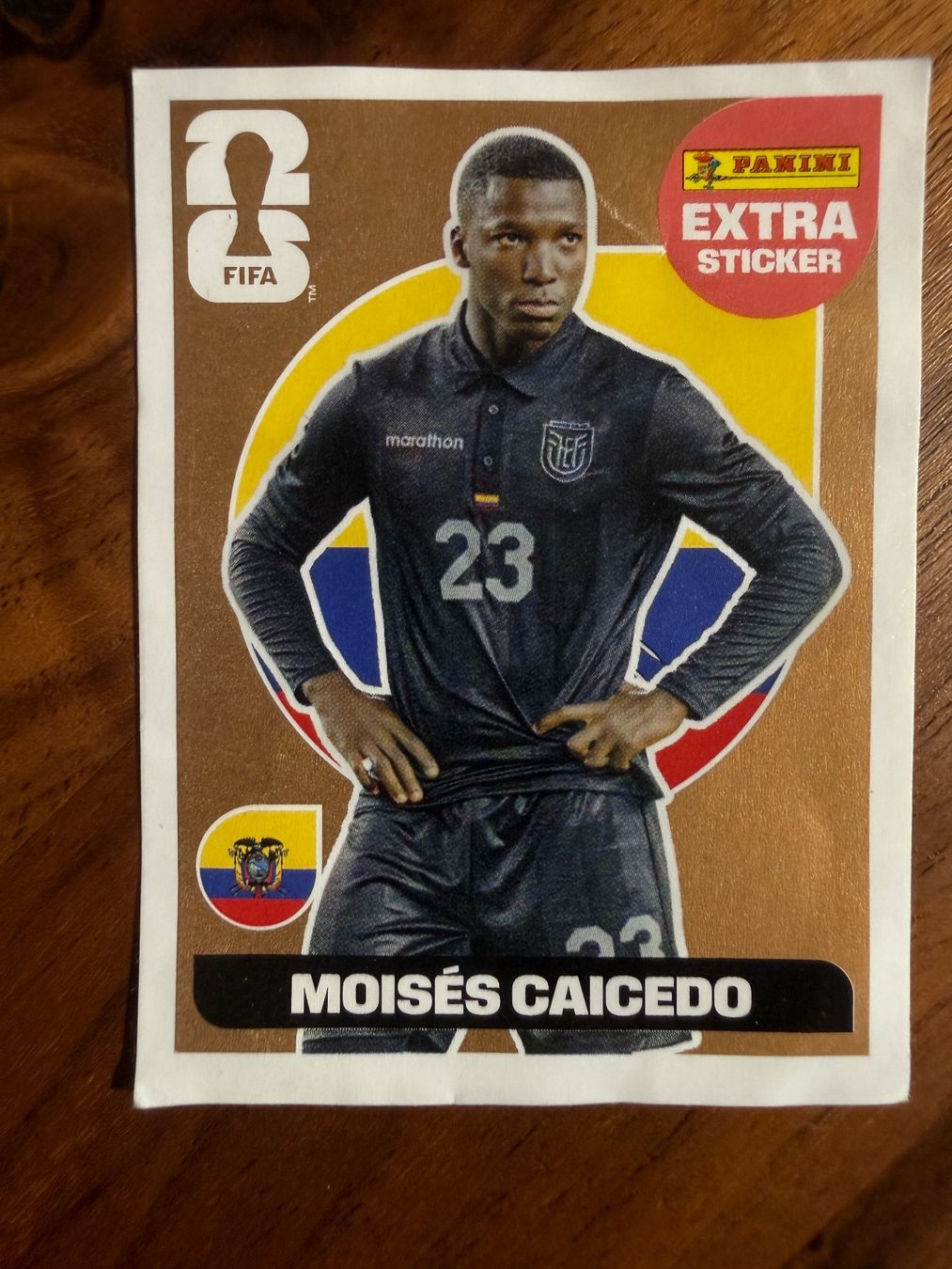 Panini Carte collezionabili: Panini FIFA Extra Sticker Moises Caicedo Bronze – Usato da Dällikon venduto da Scuf_Umbau