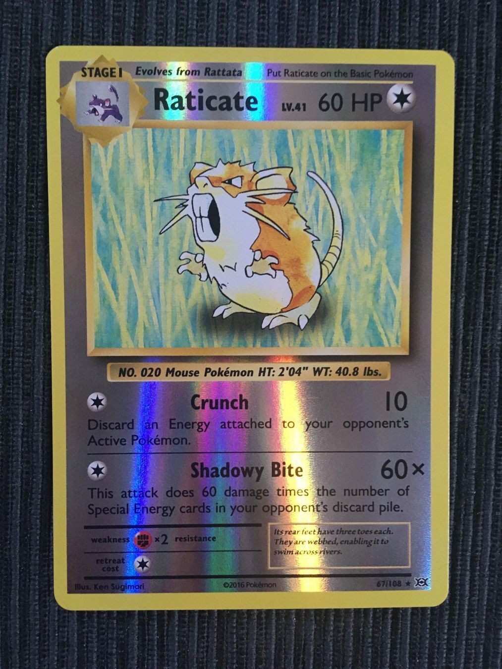 Pokémon Carte collezionabili: Pokemon Raticate Reverse XY Evolutions – Nuovo (secondo la descrizione) da Wabern venduto da Collectfun