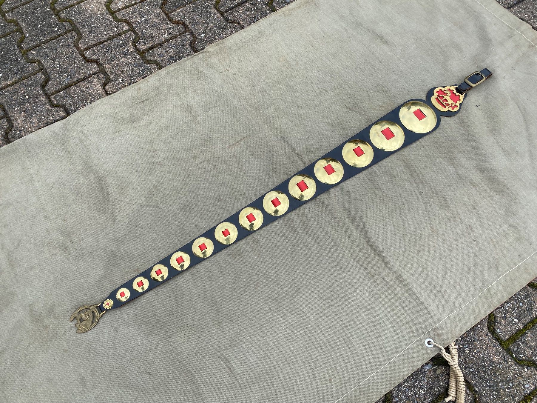 Campanacci mucche: schöner Staatsriemen mit Messing Rosetten – Usato da Feldbach venduto da Fea1 3