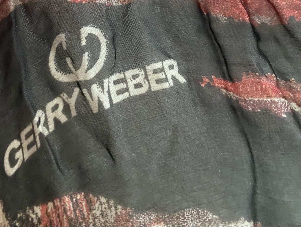 Gerry Weber Foulard & Sciarpe: Gerry Weber Seiden Schal 🌸 – Usato da Opfikon venduto da Luis144 2