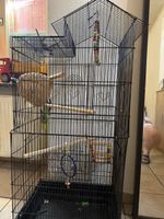 Vogelkaefig mit Zubehoer in gutem Zustand