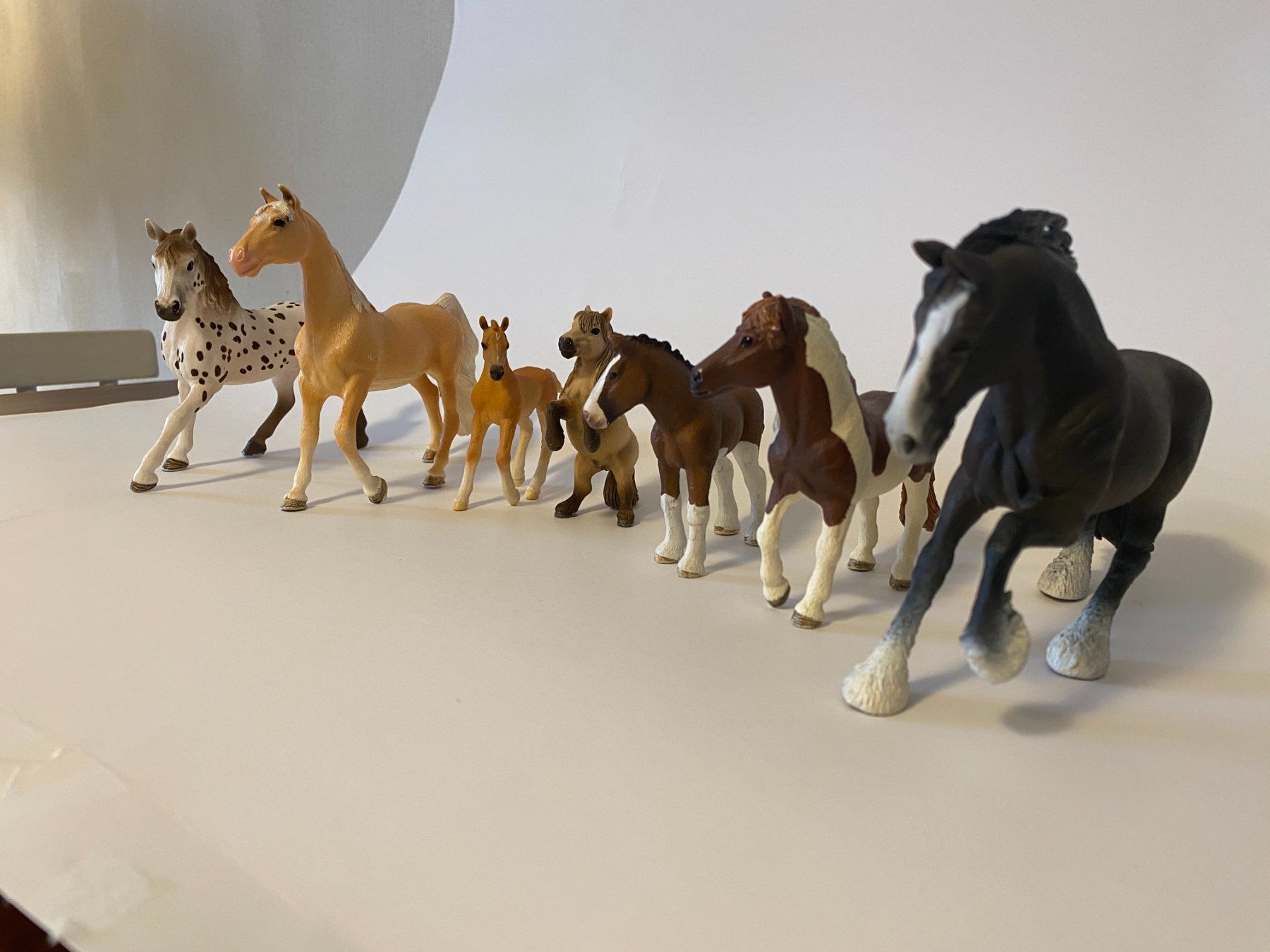 Schleich Giocattoli: Schleich Pferde als Set von 7 Pferden – Usato da Zürich venduto da prinzipien 2