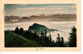 Rigi Dosen 1911