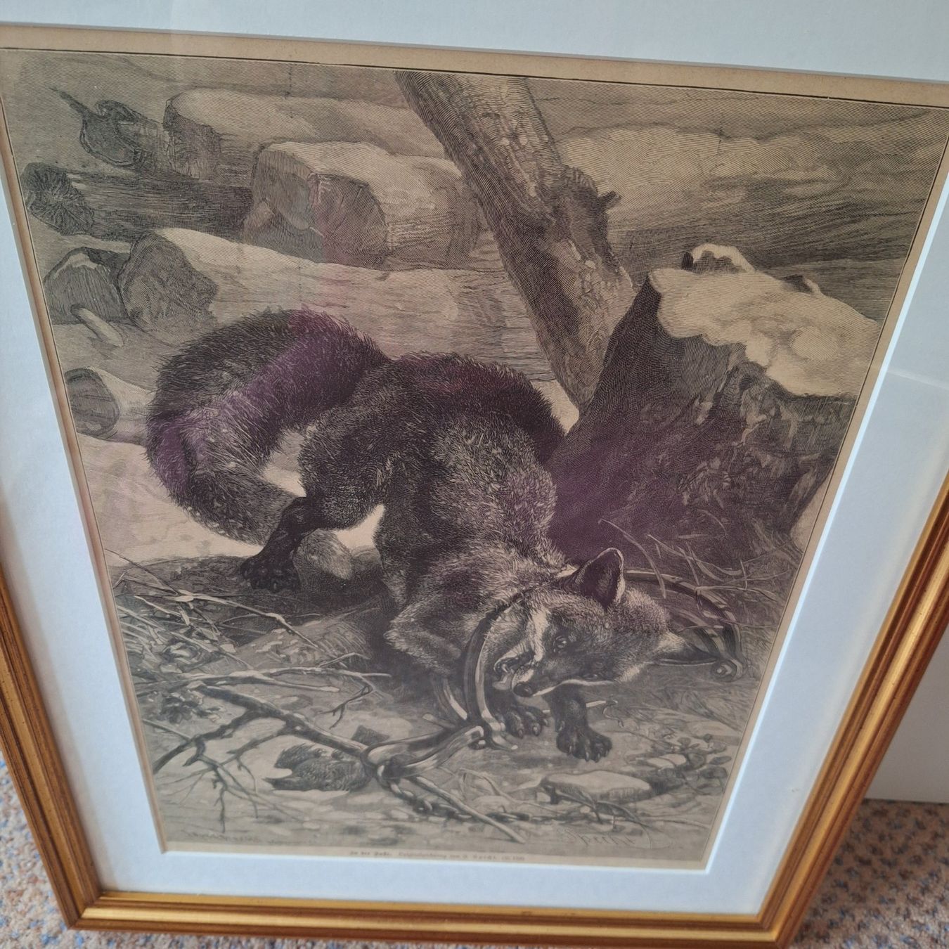 Foto & Immagini: Grösseres Bild, "In der Falle", F. Specht – Usato da Winterthur venduto da Goldpipau 6