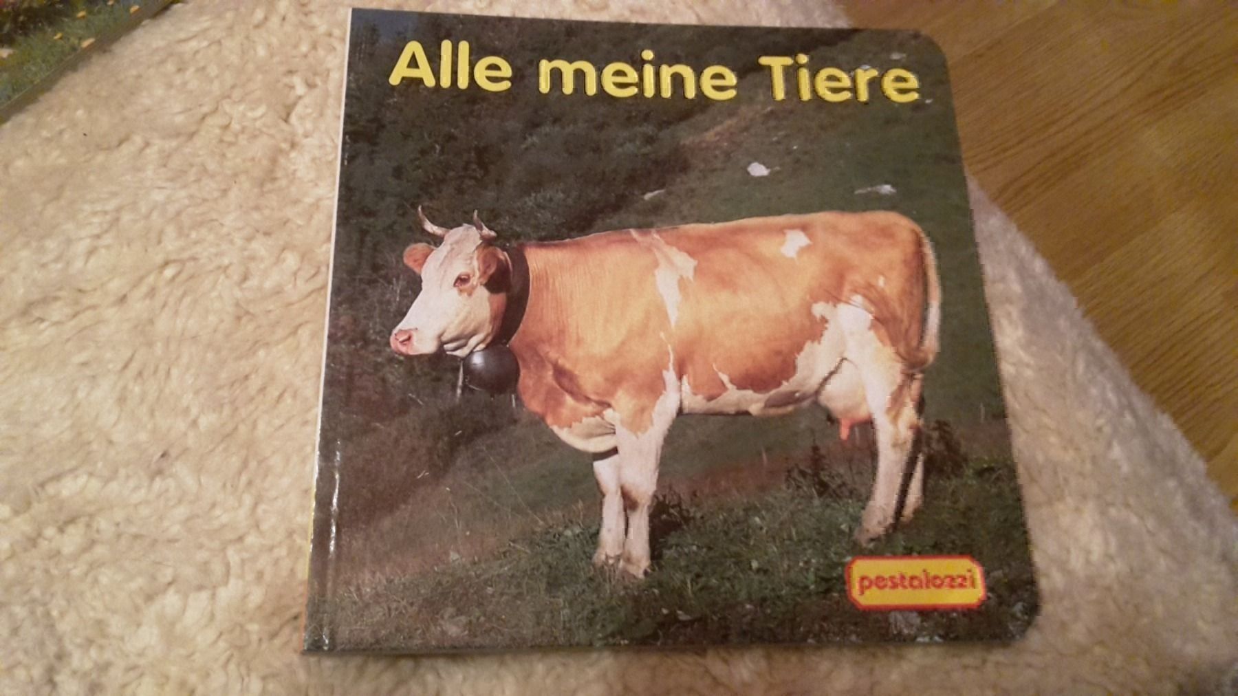Livres: Buch Alle meineTiere – Neuf (Voir description) à Schwarzenburg par Flamingo07