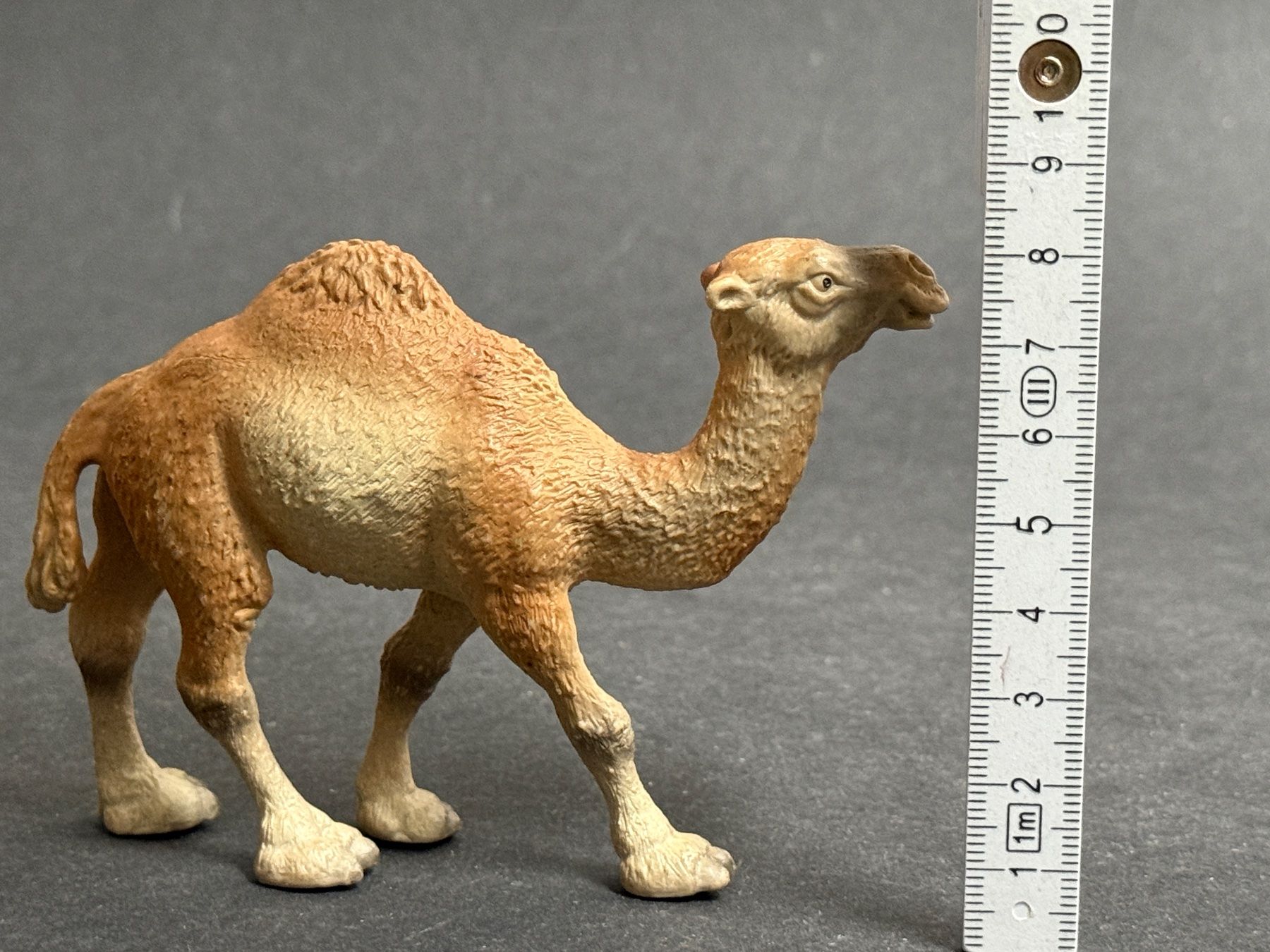 Schleich Statuette: Schleich Dromedar Stute Kamel – Usato da Ennetbaden venduto da mapa05 3