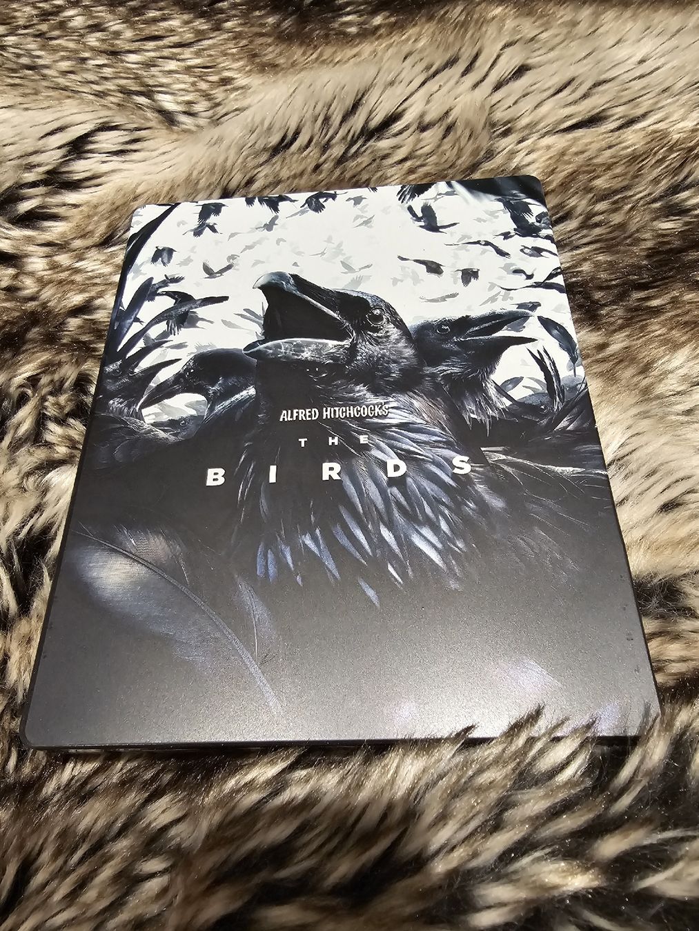 Tutti i DVDs: Die Vögel (1963) Steelbook – Nuovo (secondo la descrizione) da Winterthur venduto da Rumpunzelchen
