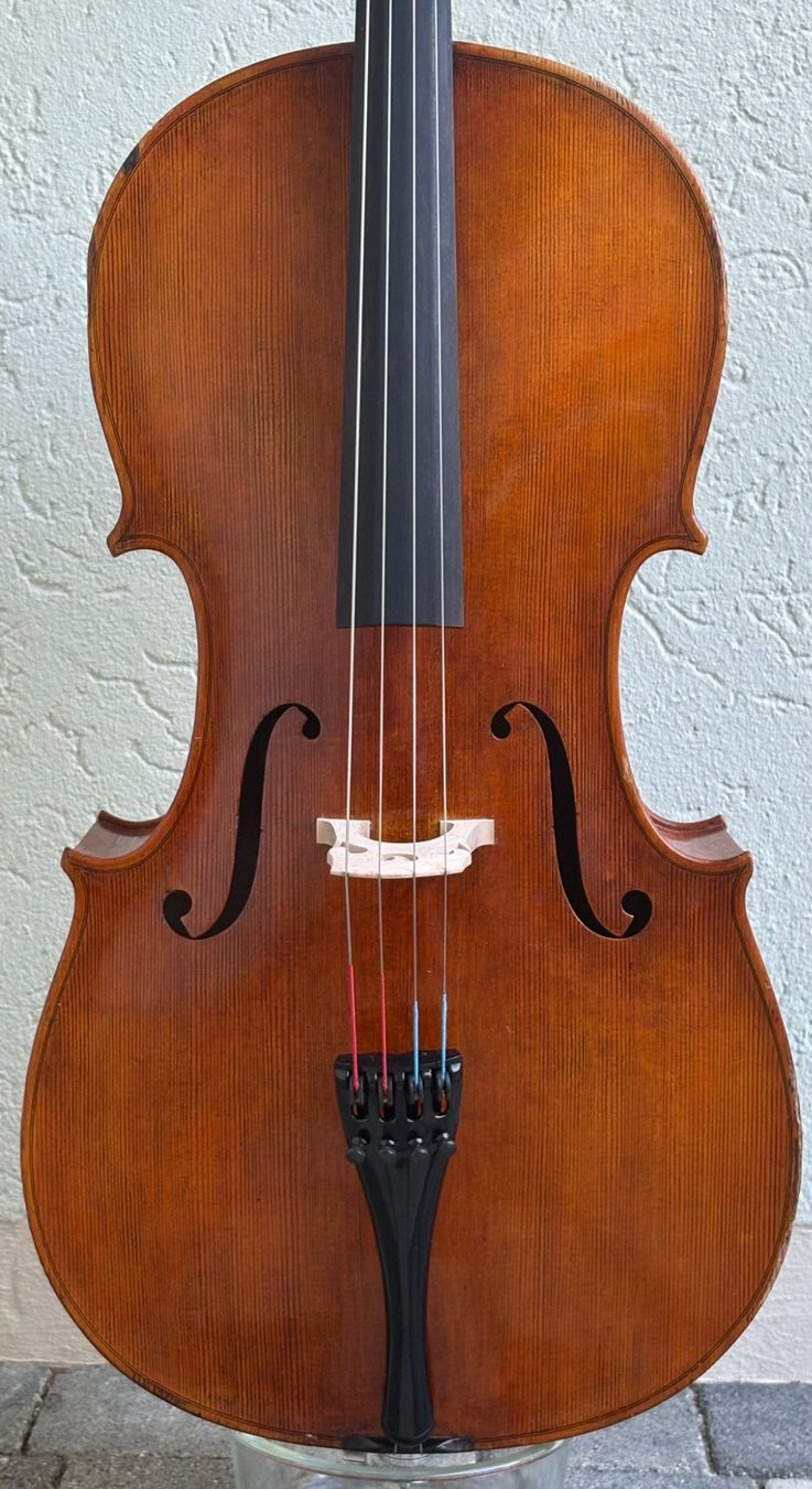 Musikinstrumente: Cello "Giovanni Pallaver" 1962 – Gebraucht aus herzogenbuchsee von lionel16