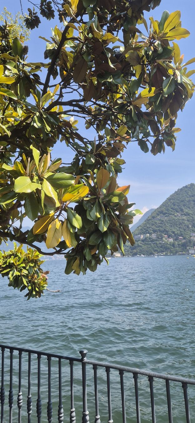 Poster & Bilder: Foto Comer See Italien – Neu und originalverpackt aus Basel von Shoppen
