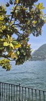 Foto Comer See Italien