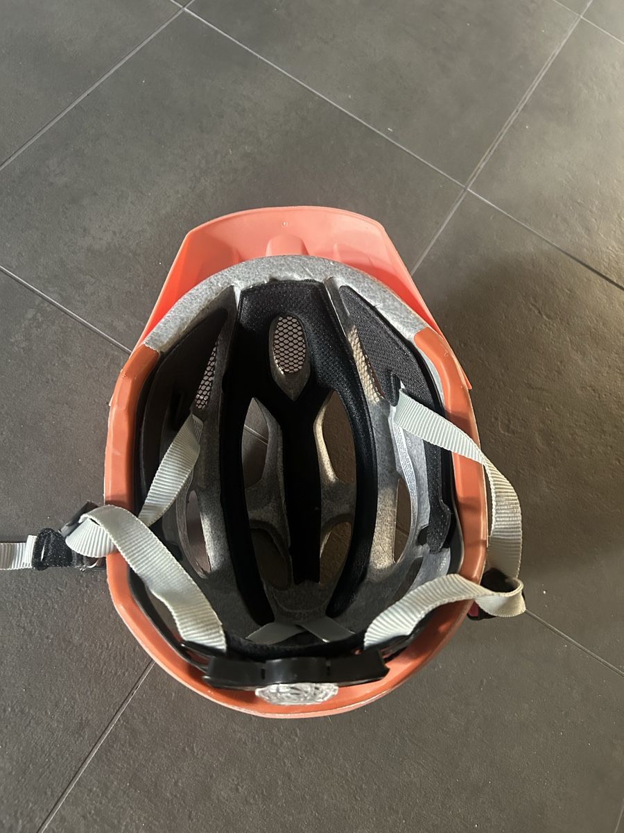Alpina Caschi: Alpina Velo Helm – Nuovo (secondo la descrizione) da Itingen venduto da murmelis003 2