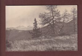 Foto - ALP GELBBERG gegen Rhätikon