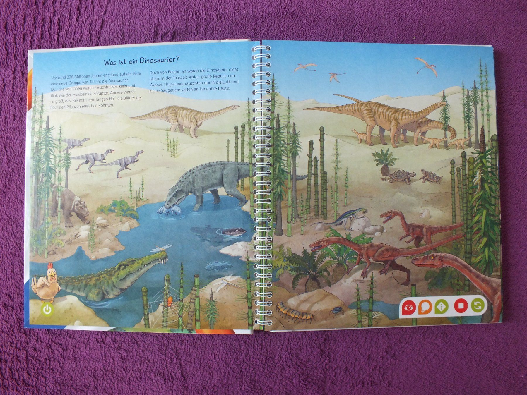 Bücher: tiptoi Buch - Wir entdecken die Dinosaurier – Gebraucht aus Müllheim Dorf von Seeeule01 1