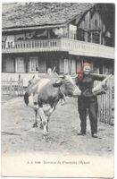 Costume de Champéry (Valais)