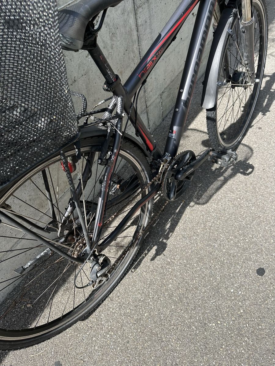 Bergamont Biciclette: Bergamont Trekking Rad - gebraucht – Usato da Zürich venduto da leo_sf7t 2