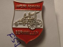 1  Feuerwehr Pompiers Bernwiller Pin (F59)