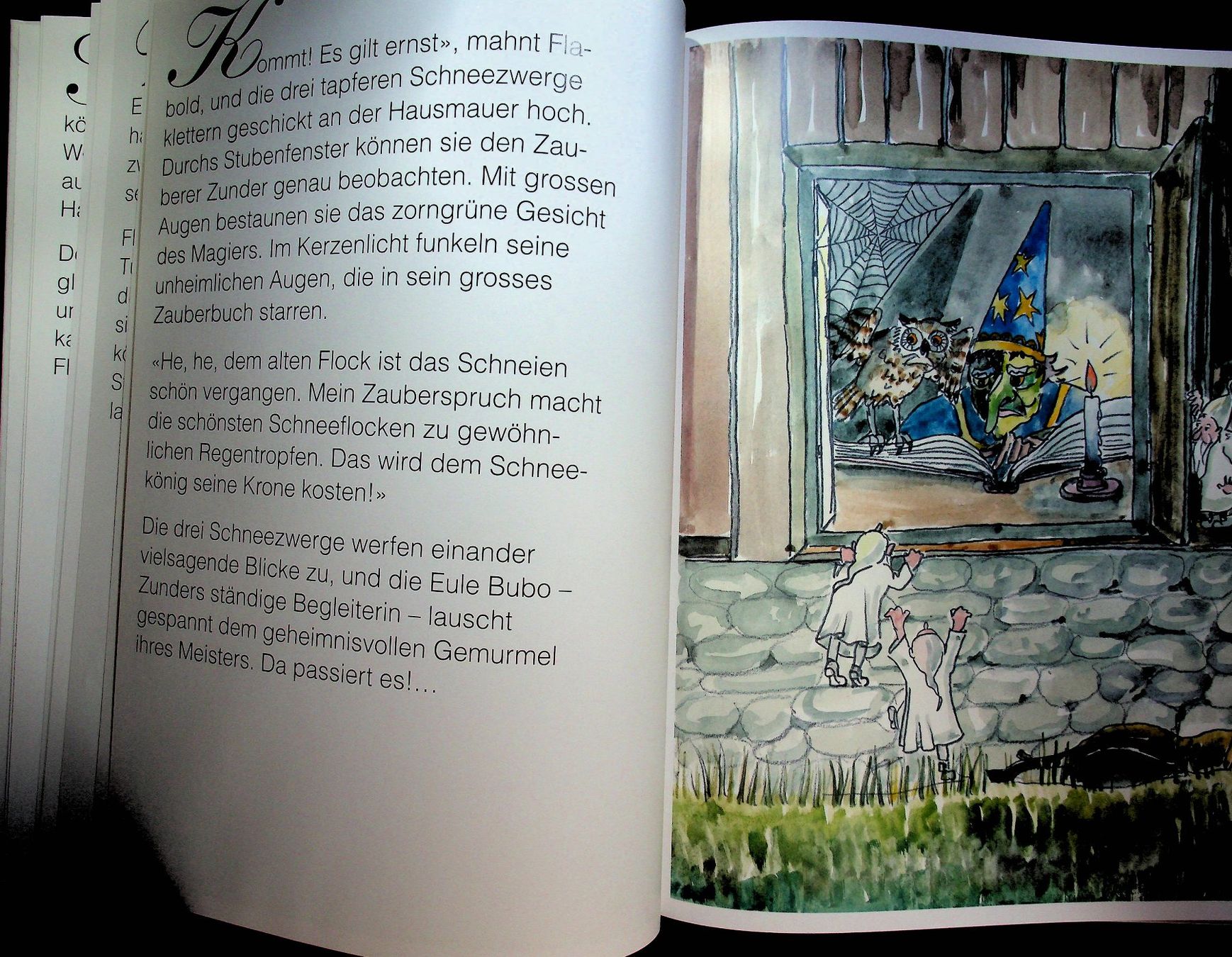Bücher: Walter Bühler Schneekönig Flock / RAR – Gebraucht aus Reitnau von Zaomir 6