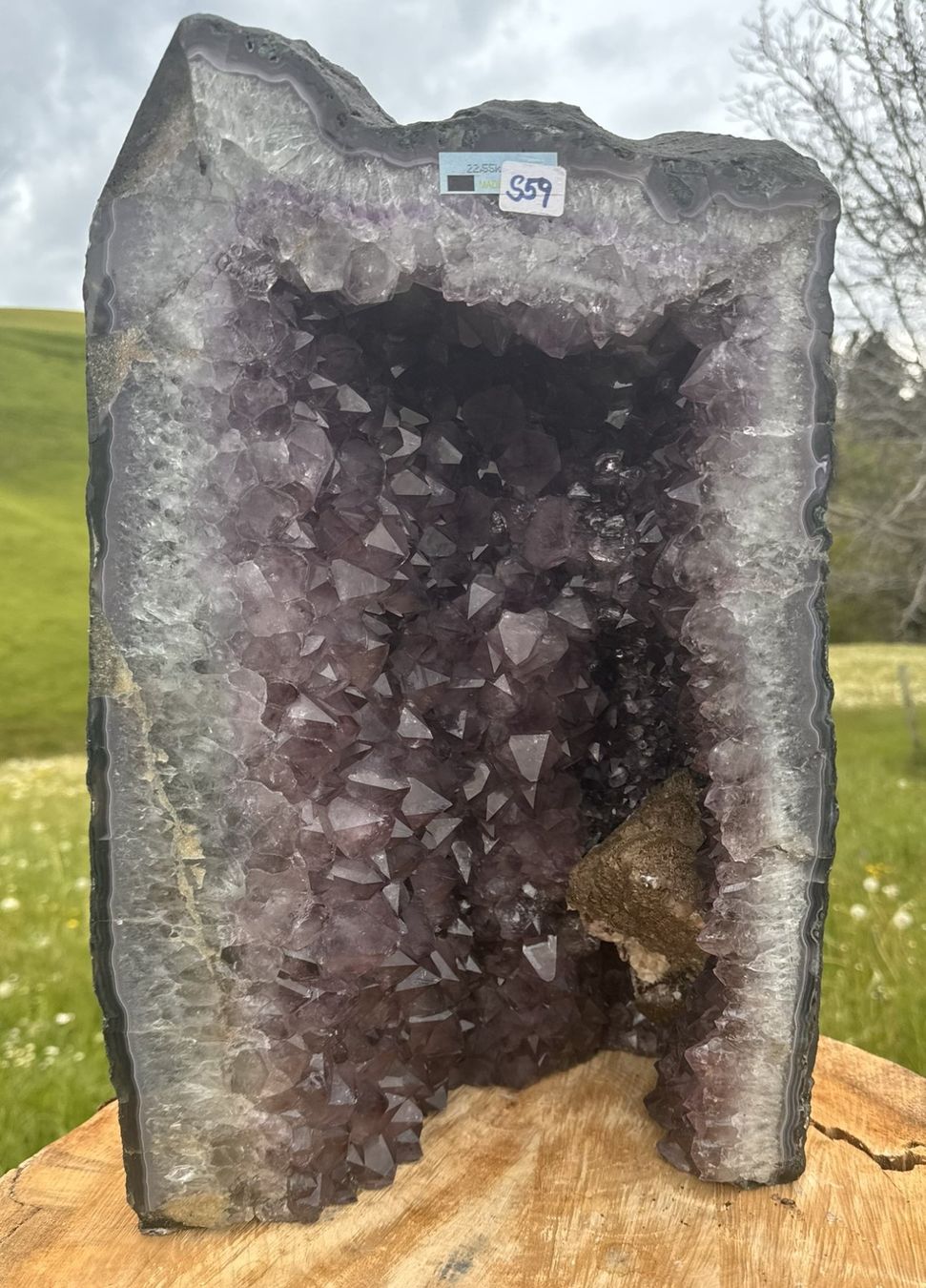 Mineralien & Heilsteine: Prächtige Amethystdruse aus Brasilien – Neu (gemäss Beschreibung) aus Rheineck von  1