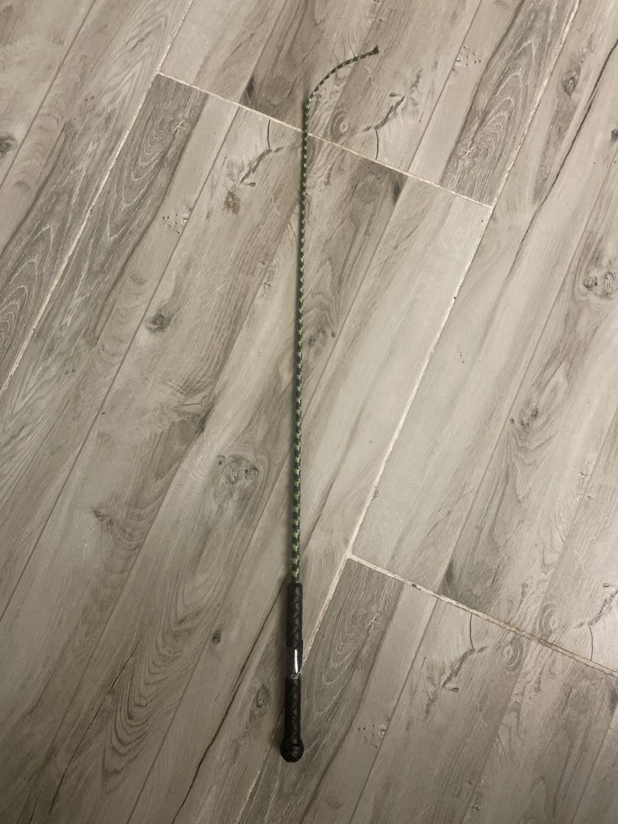Autres accessoires pour animaux: Reitdressur Gerte 70cm – D'occasion à Obergerlafingen par cabo4