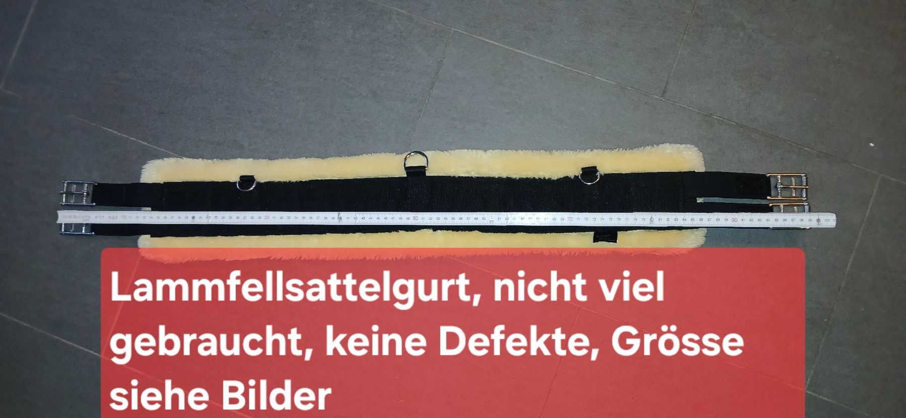 Selle & Accessori: Lammfellsattelgurt – Usato da Kerzers venduto da Lacky88