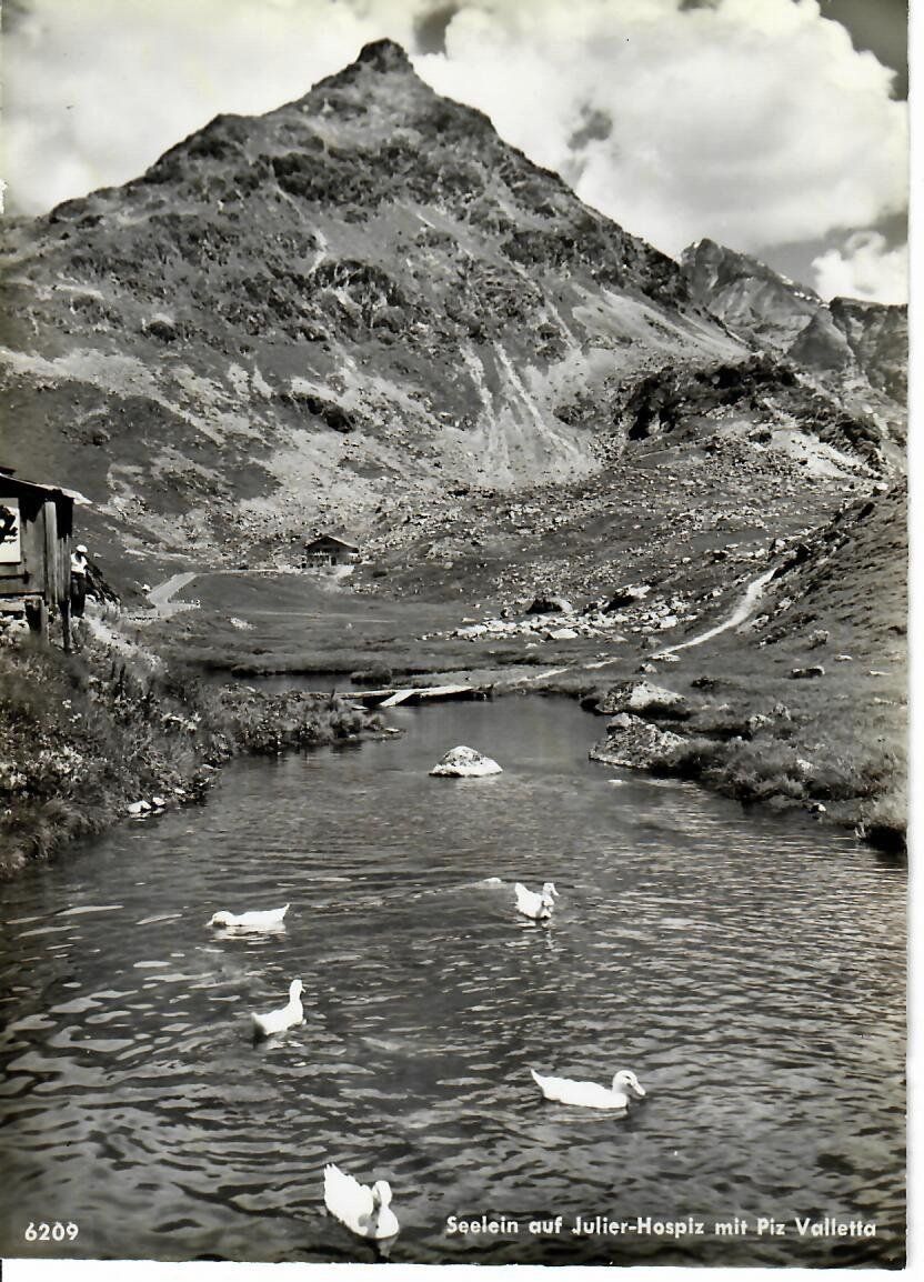 Cartoline postali: Seelein auf Julier  Hospiz – Usato da Hochdorf venduto da Ziegel-16