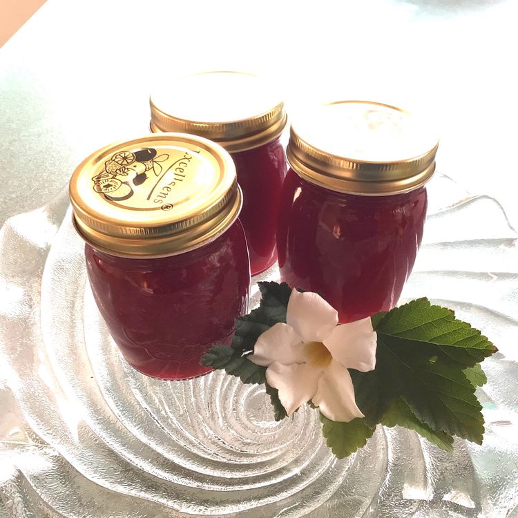 Johannisbeeren Gelee ca 320 gr (Gebraucht) in seon für CHF 5.5 – mit ...