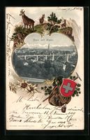 Bern, Stadtansicht mit Alpen, Wappen und