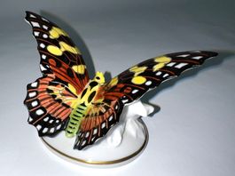 Schmetterling*Schwalbenschwanz*Rosenthal*****