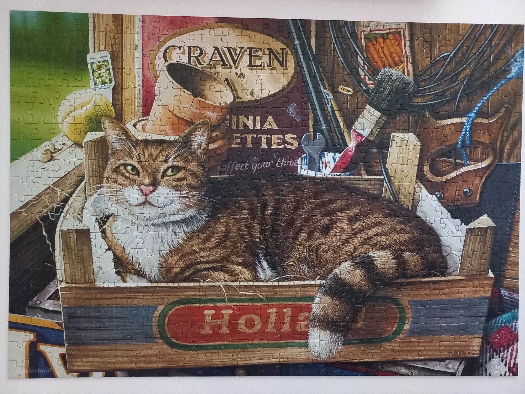 Puzzle: Cooles Puzzle Set 11x500 Teile – Usato da Arbon venduto da rispi89 6