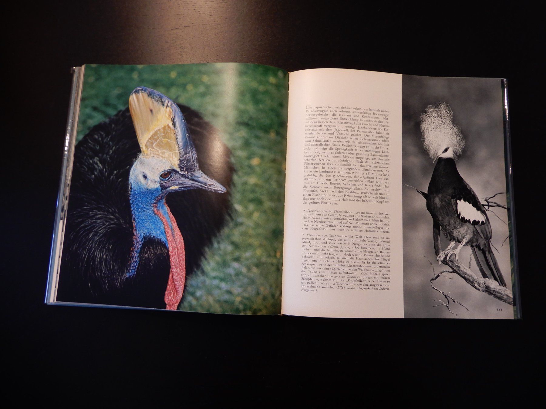 Libri: Fauna ferner Inseln - neuwertig 1965 – Usato da Erstfeld venduto da Mario_boe0 4