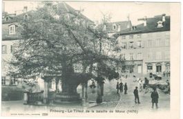 AK Fribourg, Le Tilleul de Morat, Murtenlinde Pferdefuhrwerk