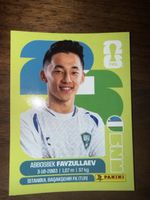 Panini Fifa UZB 20