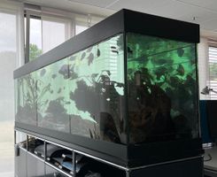 Terrarium mit Deko