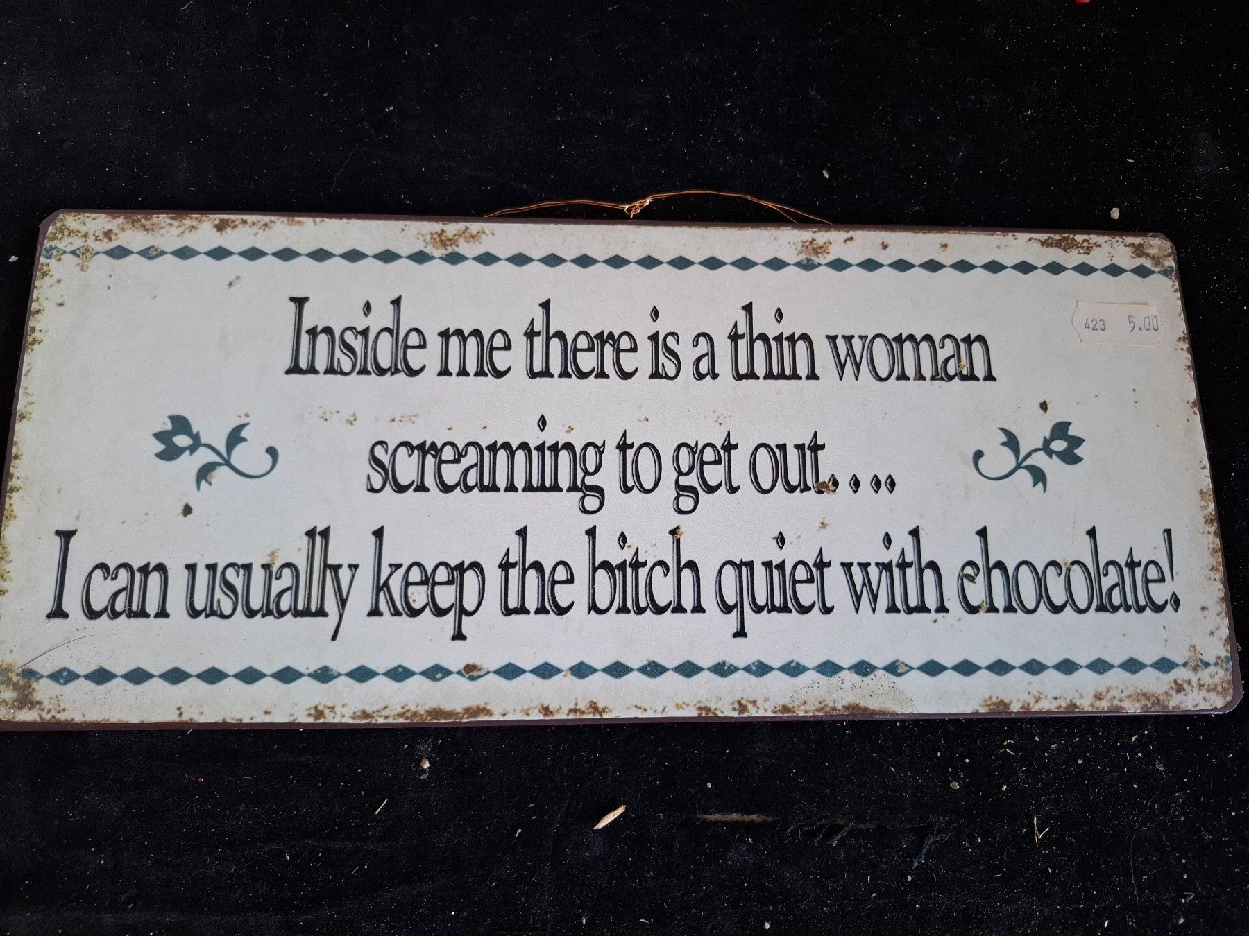Insegne: Blechschild Spruch "Thin woman screaming" Dekoschild 30cm – Usato da Schönholzerswilen venduto da clyde123