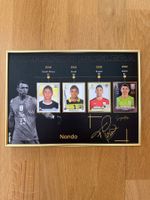 Panini-Plakat Fernando Muslera