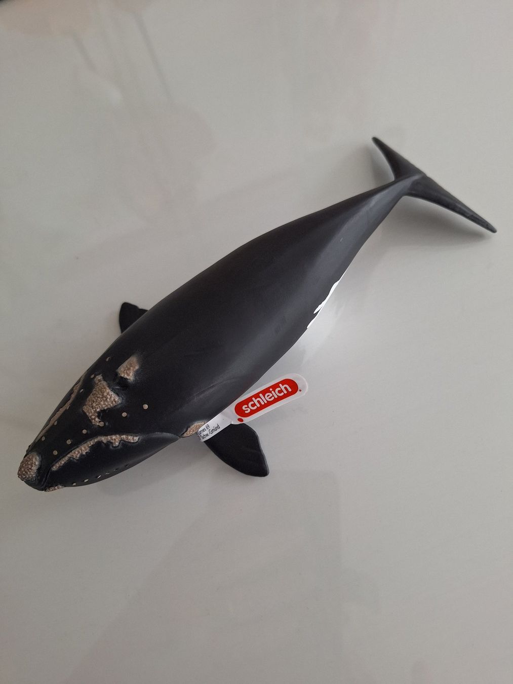 Schleich Figuren: Schleich  Südkaper Wal unbespielt Neu – Neu und originalverpackt aus Sissach von luvama