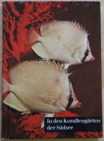 In den Korallengärten der Südsee