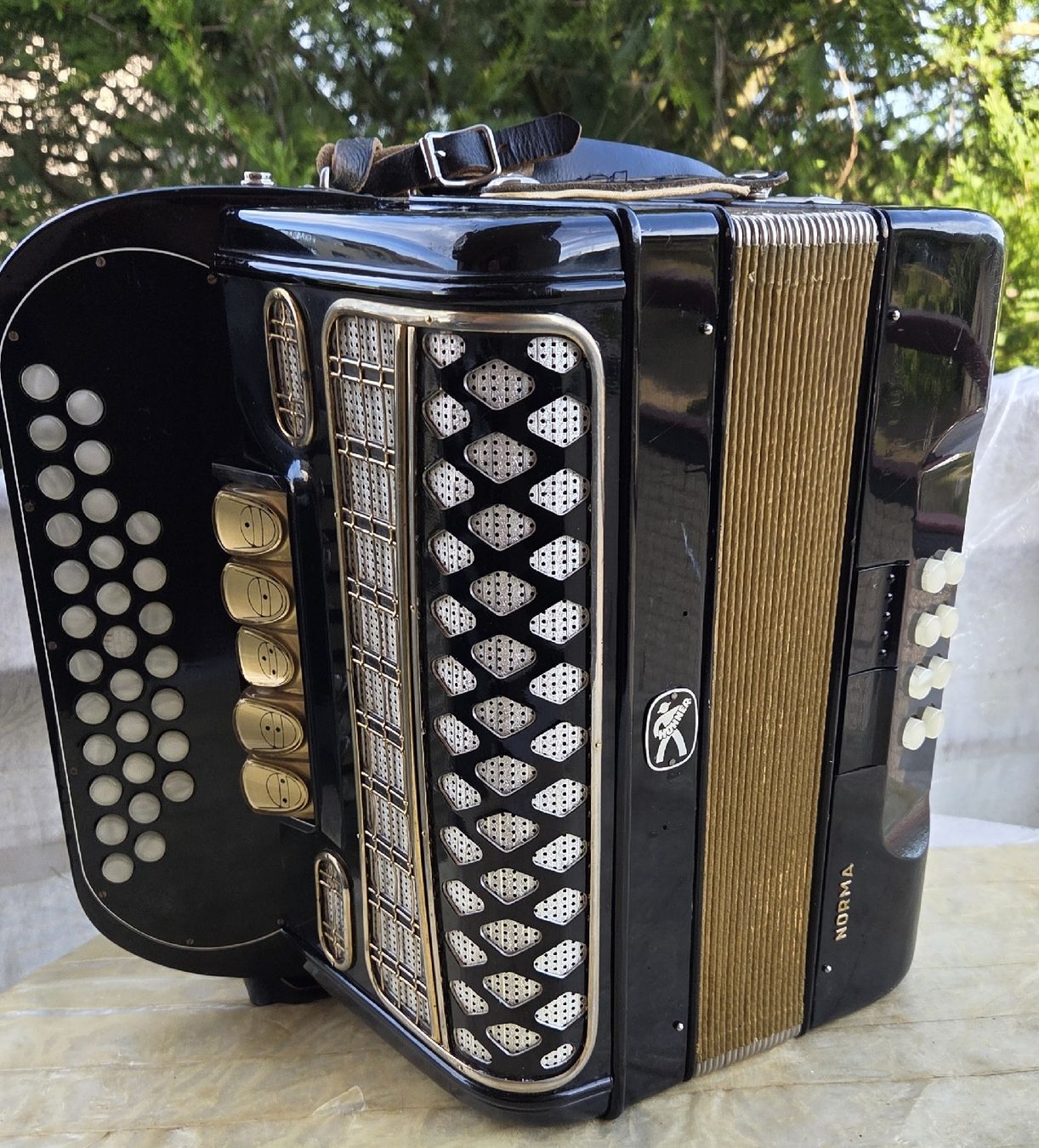 Hohner Strumenti musicali: hohner Norma III de luxe – Usato da Penthalaz venduto da EvandroLuz 1