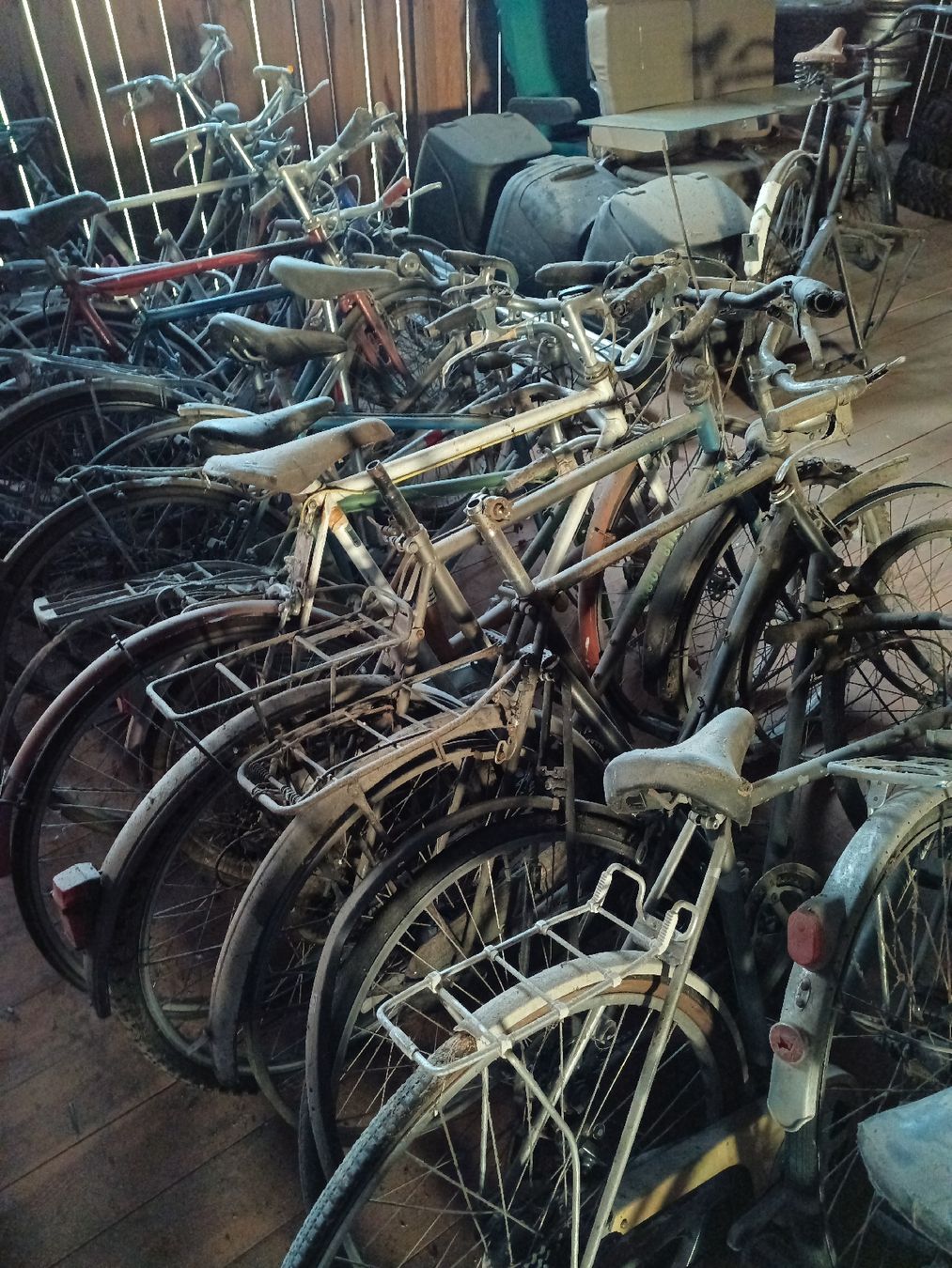 Biciclette: Velos Fahrräder 22 Stück Sammlung Oldtimer – Difettoso da Uster venduto da Loro_ 3