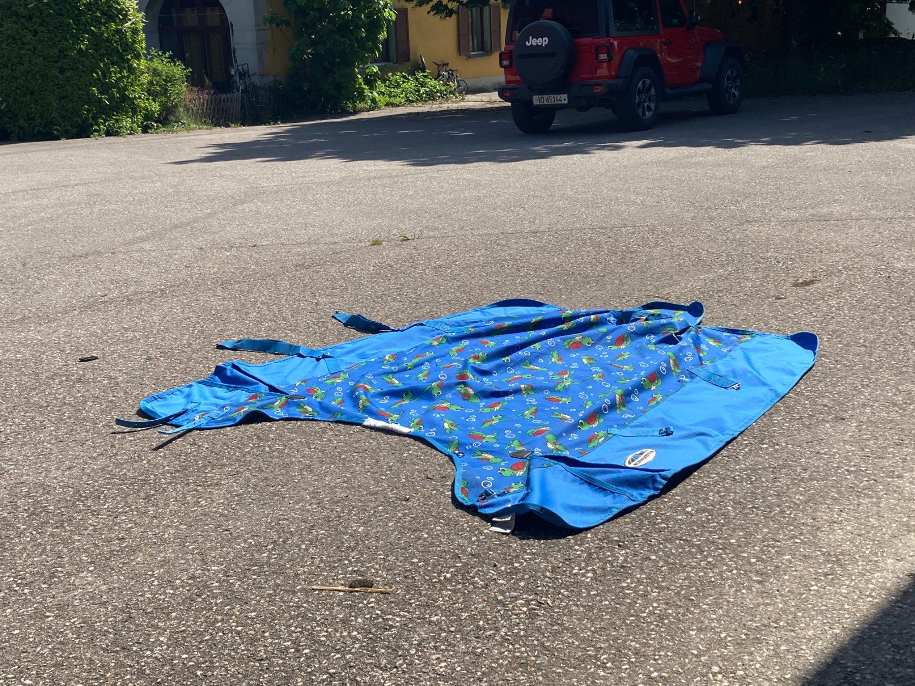 Coperte: Couverture Weatherbeeta comfitec neuve – Usato da La Rippe venduto da pommme 6