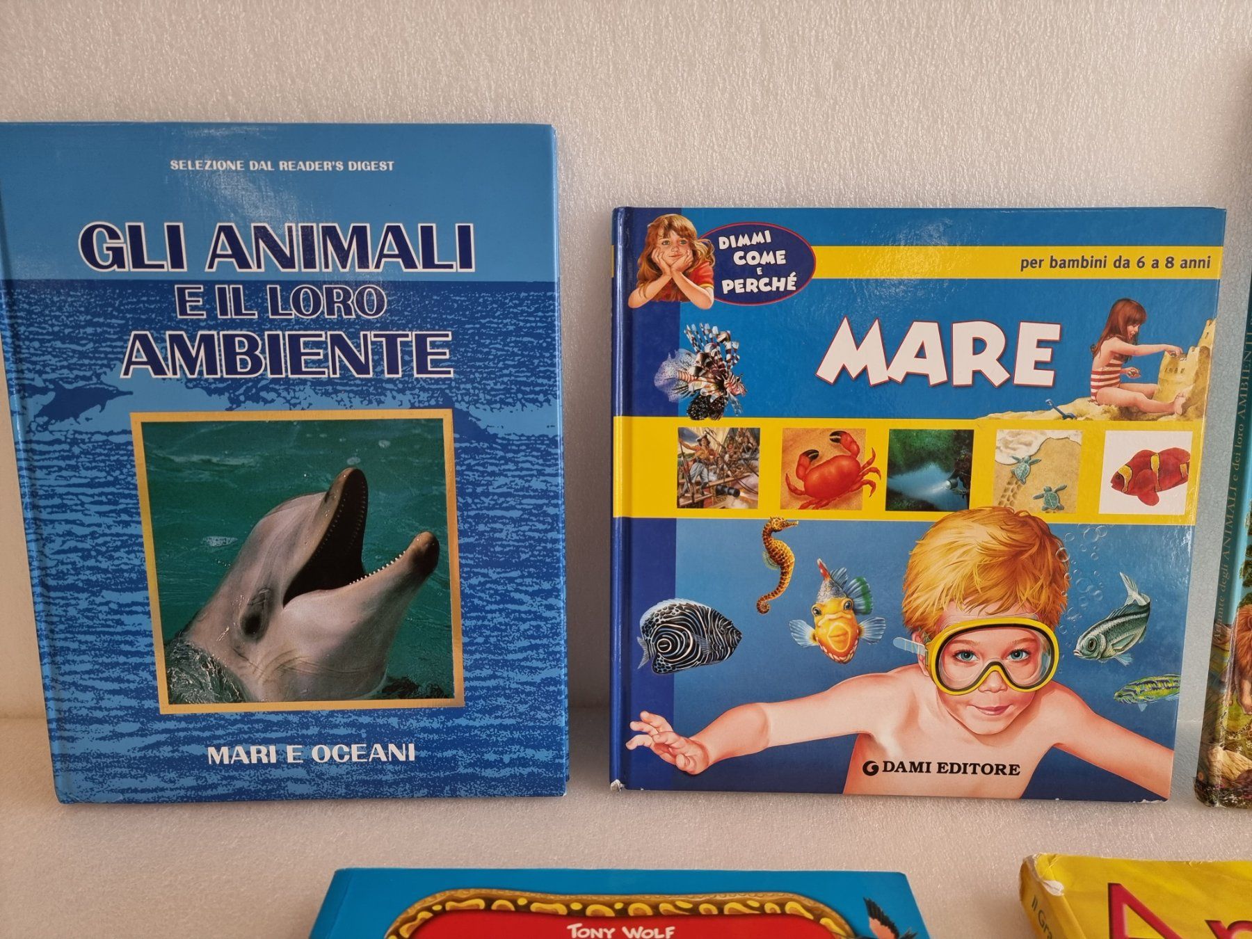 Libri: 5 libri degli animali – Usato da Hinwil venduto da Fransim 1
