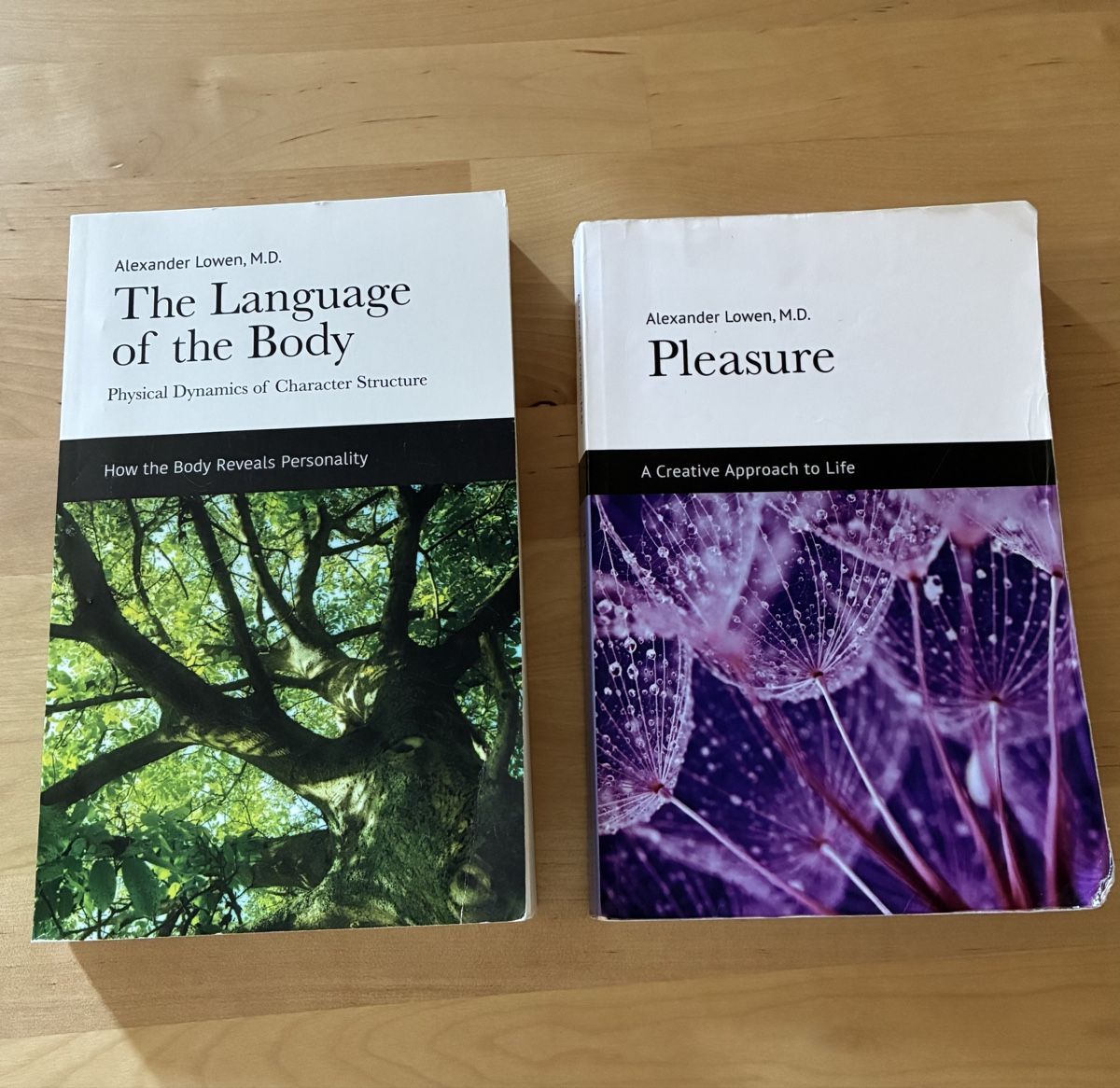 Libri: 2 Alexander Lowen, Bücher auf Englisch – Usato da Bern venduto da wisemagpie