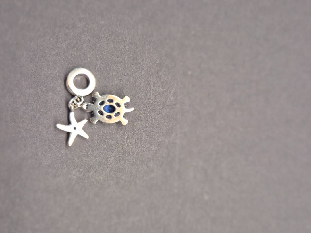 Anhänger: Silber Charm Schildkröte mit Seestern blau+Garantie – Neu (gemäss Beschreibung) aus Rotkreuz von Carbone_Bijou-Shop 2