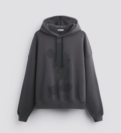 Zara sweatshirt