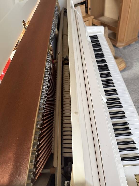 Strumenti musicali: Klavier / Piano Samick weiss – Usato da Einsiedeln venduto da onesiedler 3